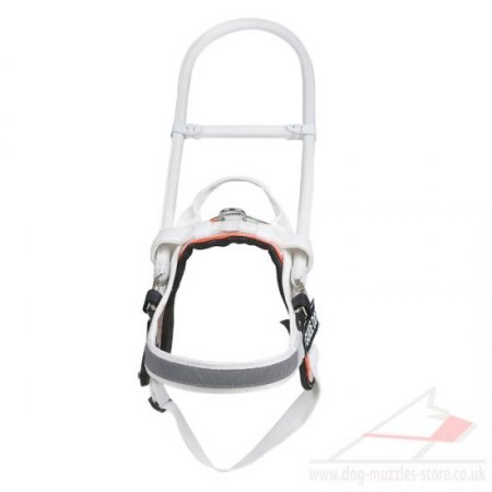 Extra Durable Dog Harness For Guide Dogs MEDIUM SIZE