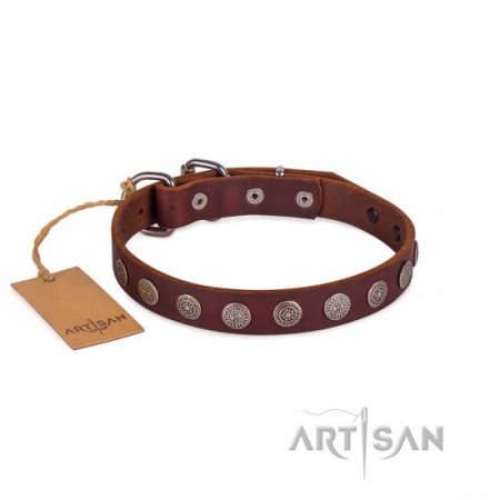 Handcrafted Brown Studded Buckle Dog Collar FDT Artisan