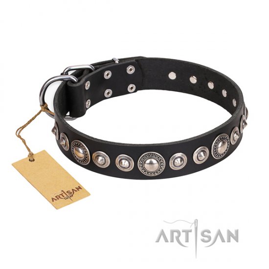 Best Decorated Dog Collar FDT Artisan 'Strict Elegance' - Click Image to Close