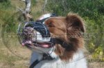 High-Quality Dog Muzzle For Australian Shepherd Muzzle Size