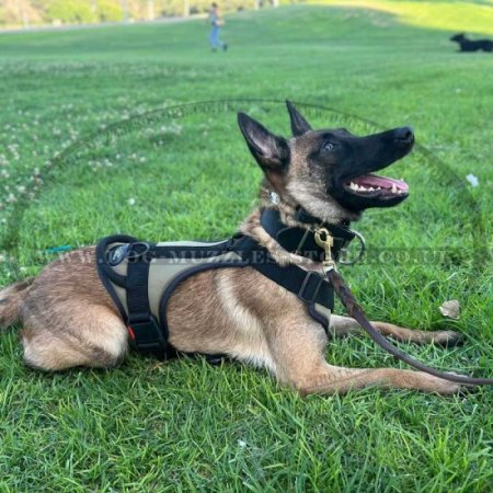Khaki Dog Harness for Walking Small Medium Extra Large Szs