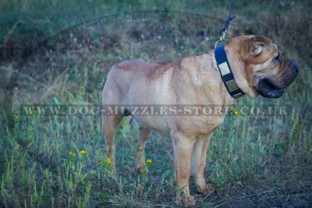 "Gorgeous" Tear-Proof Dog Collar For Shar Pei UK 1.6" (4 cm)