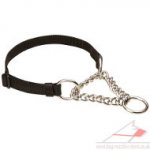 Nylon Martingale Collar with Chain Loop