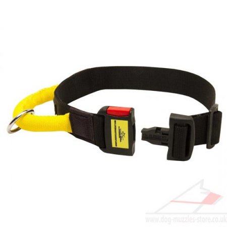 Best Spaniel Dog Collar with Handle for Training and Working