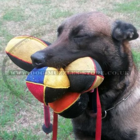 Soft Dog Bite Tug Toy with a T-Handle