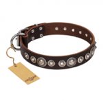 Great Brown Dog Collar with Studs FDT Artisan 'Step and Sparkle'