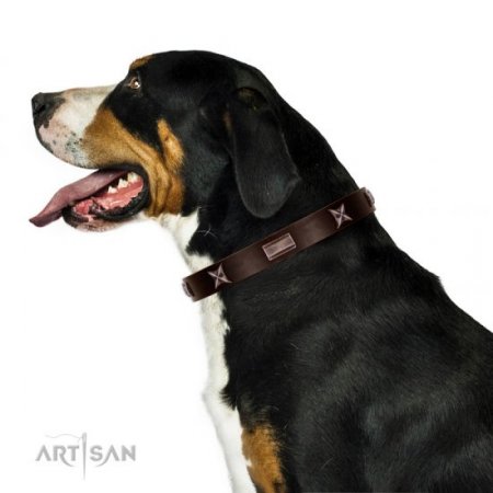 Handmade Strong Brown Studded Dog Collar FDT Artisan