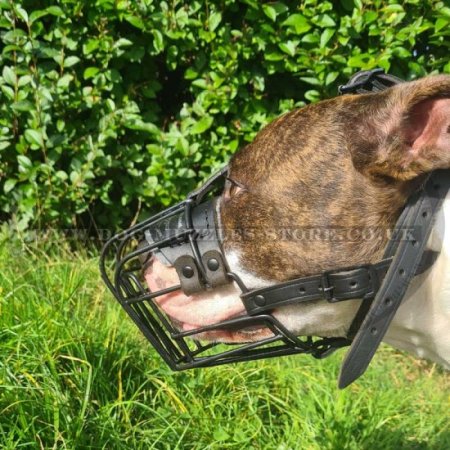 Strong Metal Wire Basket Dog Muzzle "For Everyone"