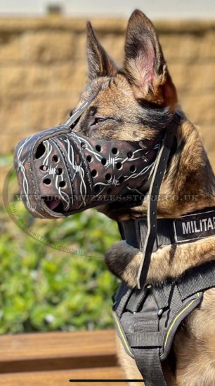Best Dog Muzzle for Working Dog Training
