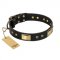 Fantastic Decorated Dog Collar FDT Artisan 'Black Sun'