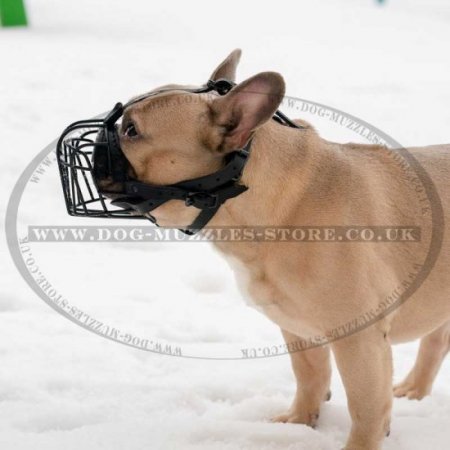 Black French Bulldog Basket Muzzle for Flat Faced Dogs