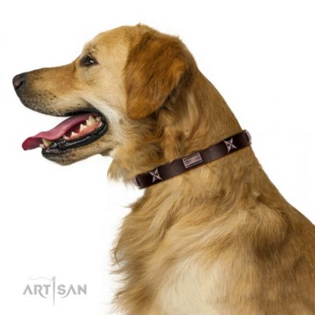 Handmade Strong Brown Studded Dog Collar FDT Artisan