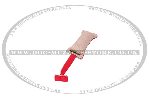 puppy prey drive training tug UK