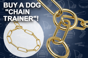Metal Dog Collar