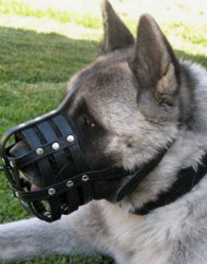 Akita Training Leather Dog Muzzle | Husky Muzzles UK