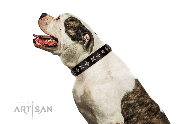 American Bulldog collar by Artisan