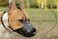 Durable Leather Padded Dog Muzzle For Staffordshire Bull Terrier