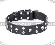 Fabulous Skull Dog Collar "Orphic Skulls" from FDT Artisan