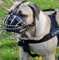 Wire Basket Dog Muzzle for Boerboel Mastiff UK Bestseller