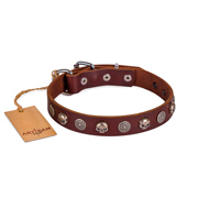 Adorable Dark Brown Leather Dog Collar With Skulls FDT Artisan