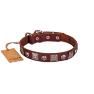 Extravagant Brown Leather Dog Collar With ID Plate FDT Artisan