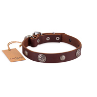 Fashionable Dark Brown Leather Dog Collar For Daily Walking