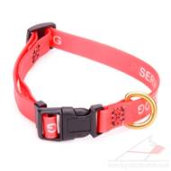 Red Dog Collar for Service Dogs Plastic Quick Release Brass Ring