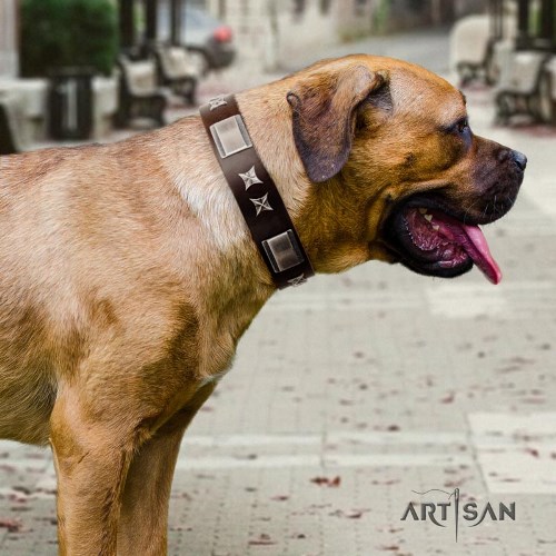 Artisan chocolate brown dog collar for Cane Corso