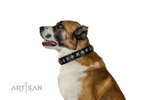 large black leather dog collar for Central Asian Shepherd