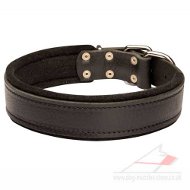 Soft Padded Dog Collar with Classic Buckle, 1.5 In Wide
