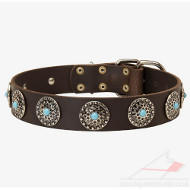 Luxury Dog Collars