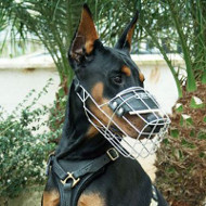 Doberman Muzzle Basket Form | Dog Muzzles UK Bestsellers