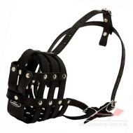 Light Leather Dog Muzzle