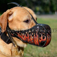 Labrador Muzzle UK