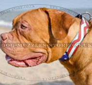 Designer Dog Collars for Dogue De Bordeaux Painted by Hands