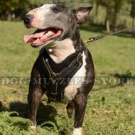 Bestseller English Bull Terrier Leather Dog Harness UK