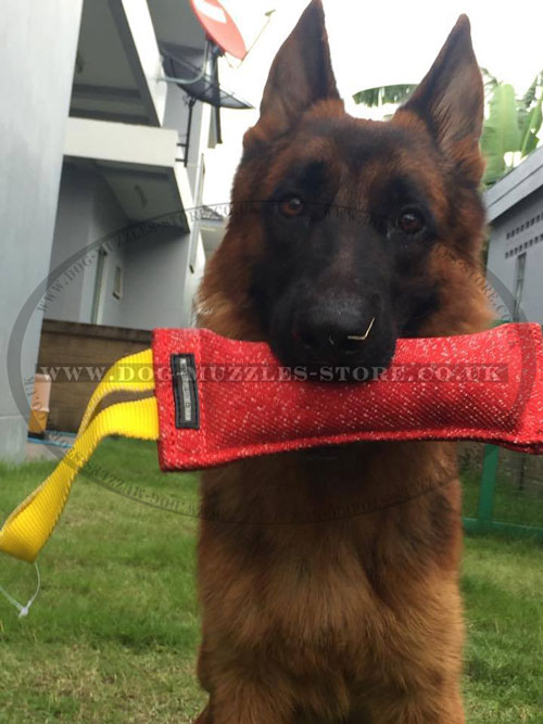 best dog tug with handle