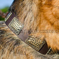 GSD Collar with Dotted Brass Plates | Designer Dog Collar