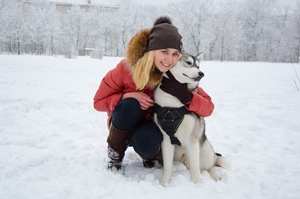 Dog Harness