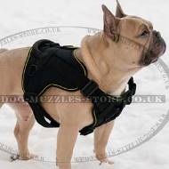 Soft & Light French Bulldog Walking Body Harness with Handle