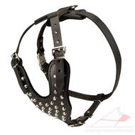 SALE! Medium/Large Brown Leather Dog Harness Studded