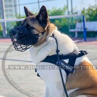 Japanese Akita Dog Harness No Pull Front Clip Best Seller