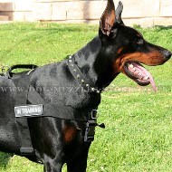 Doberman Dog Harness to Stop Dog Pulling