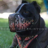 Cane Corsos Designer Dog Muzzle for K9 Training 