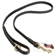 1/2 Inch Wide Leather Dog Leash with Brass Fittings