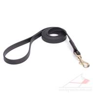 Soft & Strong Biothane Dog Leash with Handle in Black