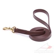 Brown Dog Lead with Handle Strong Biothane