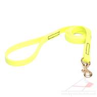 Neon Yellow Dog Leash with Handle & Brass Snap