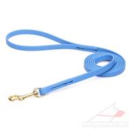 Slim Dog Lead Blue Biothane with a Brass Snap Hook & a Handle