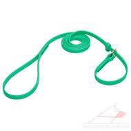 Green Dog Leash and Collar